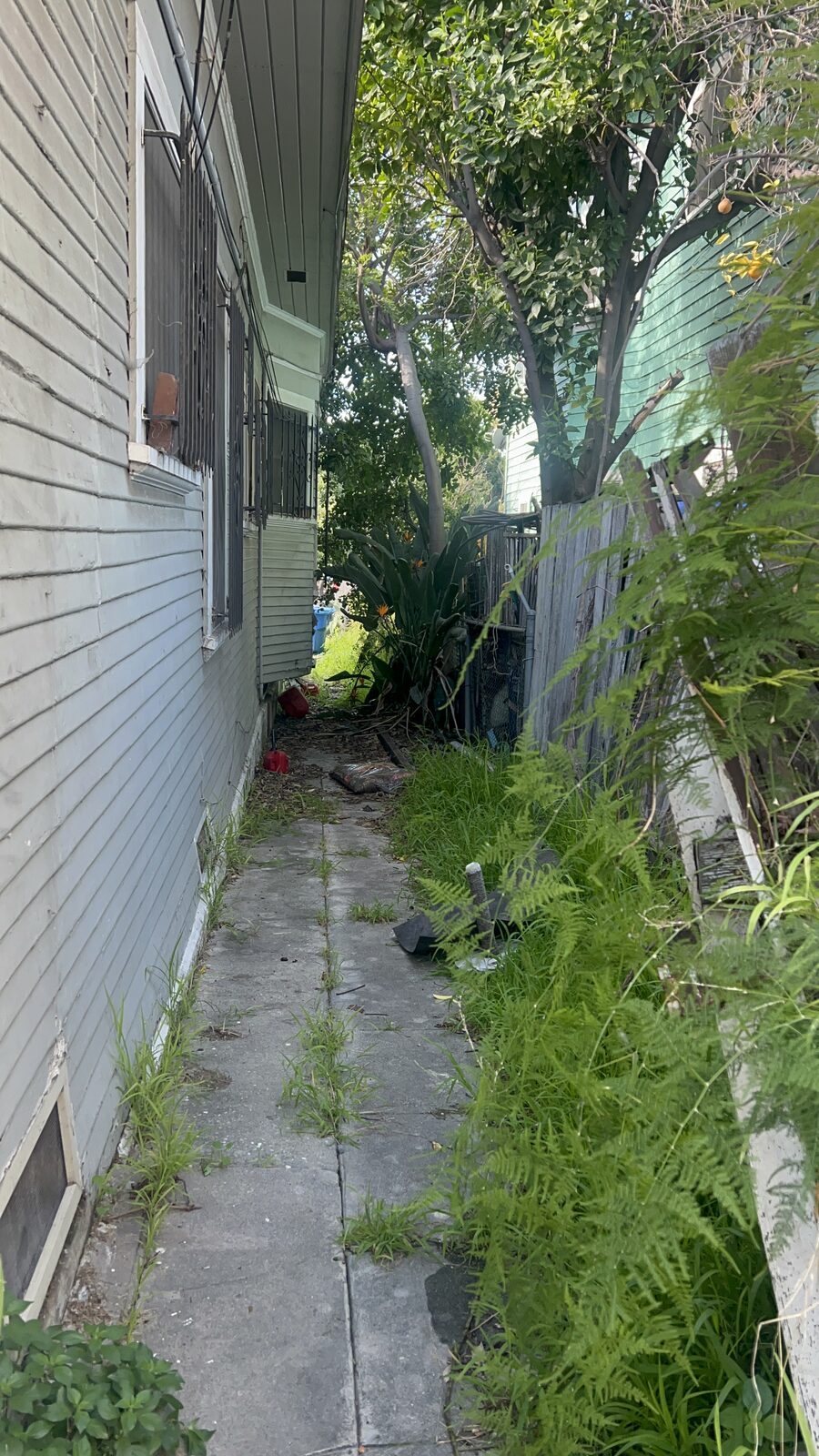 Side yard along the main house, current condition