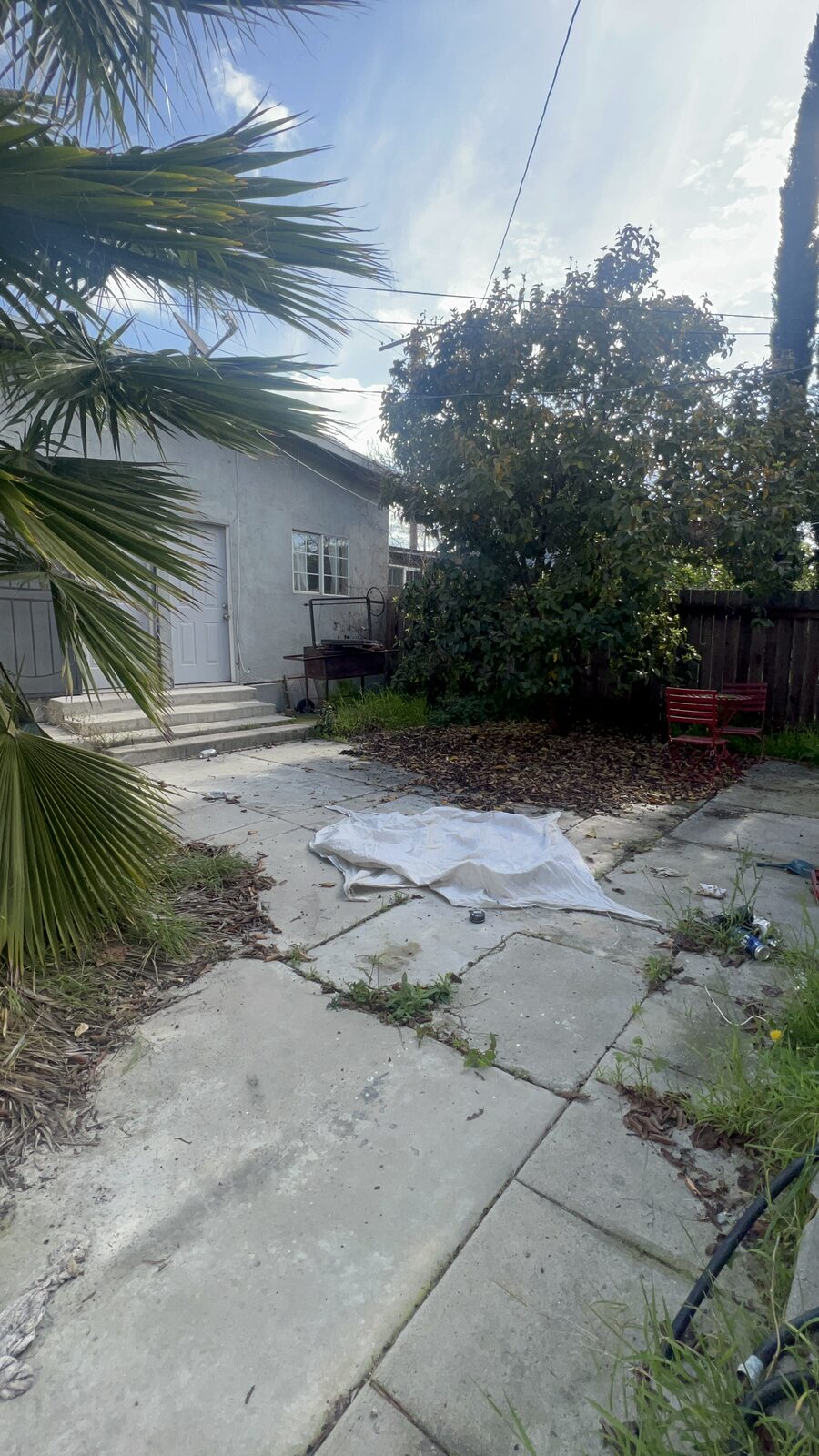 Rear yard near the ADU structures